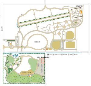 ポプラ剪定業務　枝葉堆積箇所